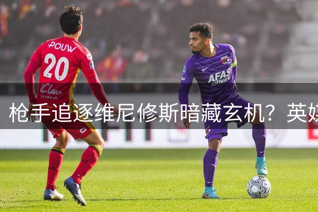 枪手追逐维尼修斯暗藏玄机？英媒曝阿森纳或另有战略目标